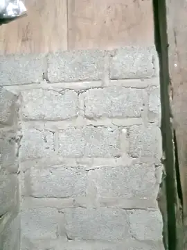 Noelle-e online show from April 2026 12:08:01 PM