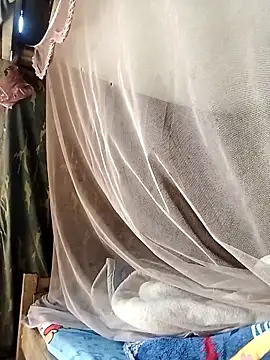 Noelle-e online show from March 2026 03:39:02 AM