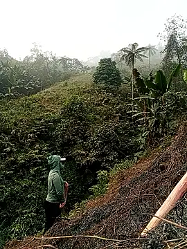 Snapshot of Phoena-a chatting on March 2026 01:18:02 AM Phoena-a online show from March 2026 01:18:02 AM