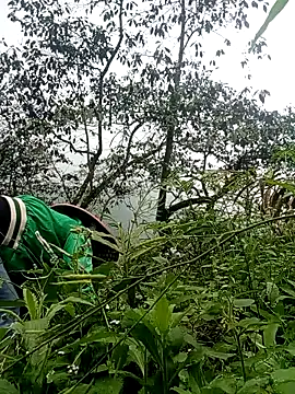 Snapshot of Phoena-a chatting on March 2026 02:22:01 AM Phoena-a online show from March 2026 02:22:01 AM