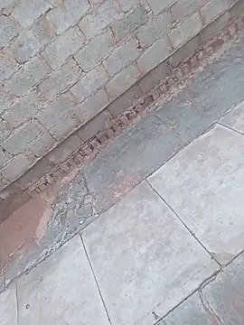 younggblackkCOCK19 online show from November 2025 03:26:01 PM