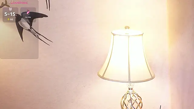 MissyFoxyy online show from February 2026 03:51:01 AM