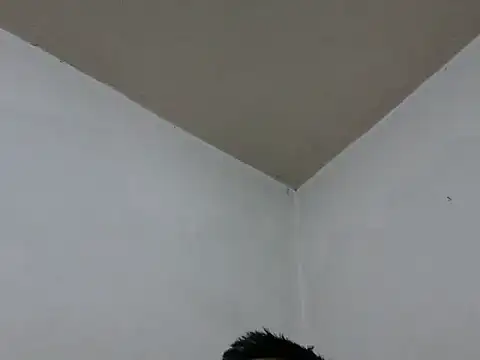 GordoChancludoSLP online show from November 2025 04:46:02 AM