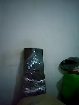 GordoChancludoSLP online show from November 2025 08:41:02 AM