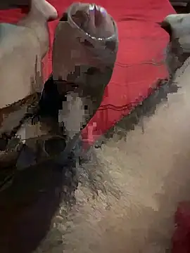 vijay20k online show from March 2026 08:16:01 PM