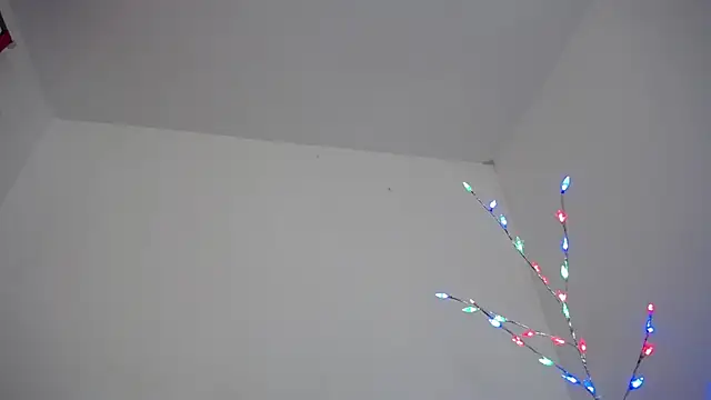 Mia fox29 online show from December 2025 11:26:02 AM