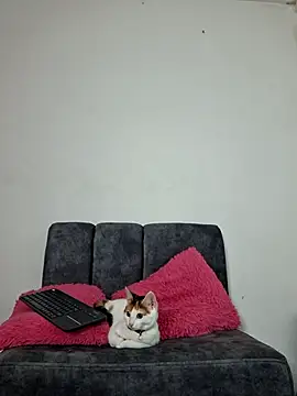 Mia fox29 online show from November 2025 11:14:01 AM