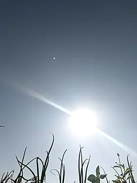 devil boy 0909 online show from March 2026 03:47:02 AM