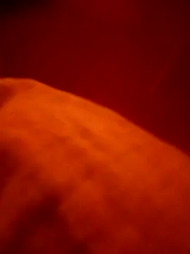 pampa4456 online show from March 2026 03:42:01 AM