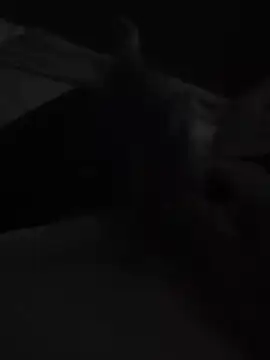 Tincho1051 online show from December 2025 11:42:02 AM