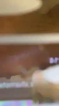 TheBillCrypto online show from February 2026 12:14:01 PM