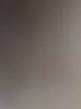 WildNour online show from November 2025 02:00:01 PM