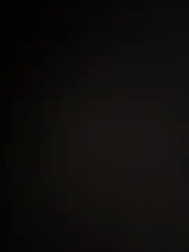 WildNour online show from April 2026 12:51:01 PM