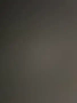 WildNour online show from November 2025 04:33:01 PM