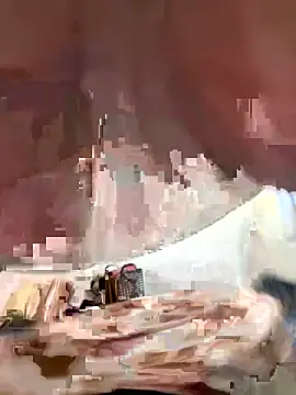 WildNour online show from November 2025 11:31:02 PM