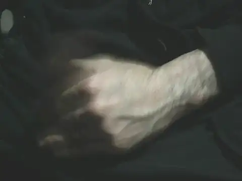 giovanift111 online show from January 2026 12:50:02 AM