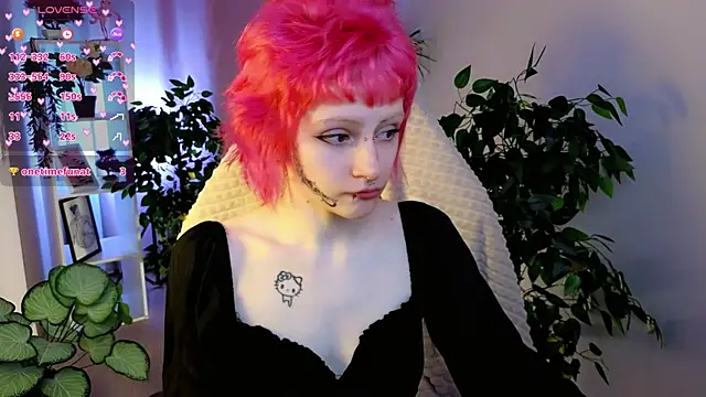 karkadeshk online show from April 2026 04:24:02 PM