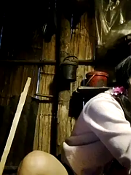 doggy-00 online show from March 2026 11:25:02 AM