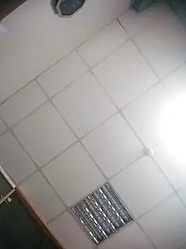 Lana-murr online show from November 2025 07:30:01 PM