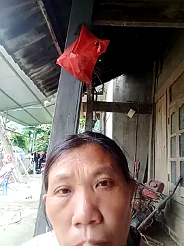 bella-la online show from November 2025 06:47:02 AM