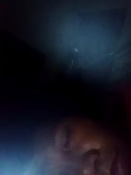 bella-la online show from November 2025 11:03:02 PM