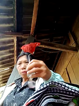 bella-la online show from November 2025 08:37:01 AM