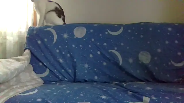 4clarissa online show from October 2025 07:27:01 AM