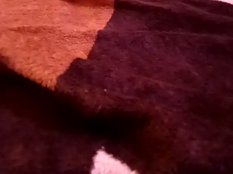 bigtelugubhama online show from February 2026 08:28:02 PM