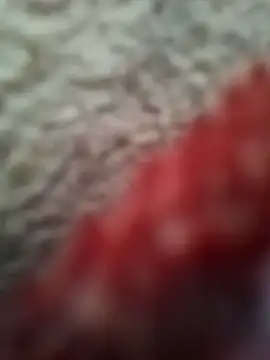 bigtelugubhama online show from February 2026 09:07:02 AM