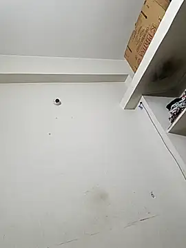 bigtelugubhama online show from December 2025 11:54:01 PM