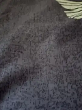 bigtelugubhama online show from February 2026 07:19:01 AM