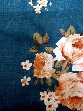 bigtelugubhama online show from February 2026 02:24:02 PM