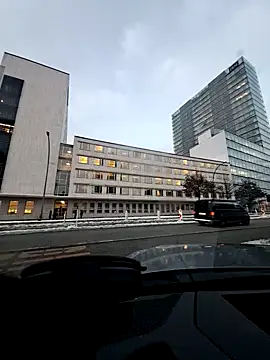 EchoVibe 86 online show from January 2026 03:17:02 PM