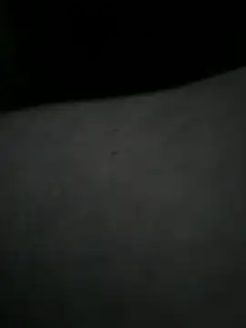 EchoVibe 86 online show from March 2026 05:07:02 PM