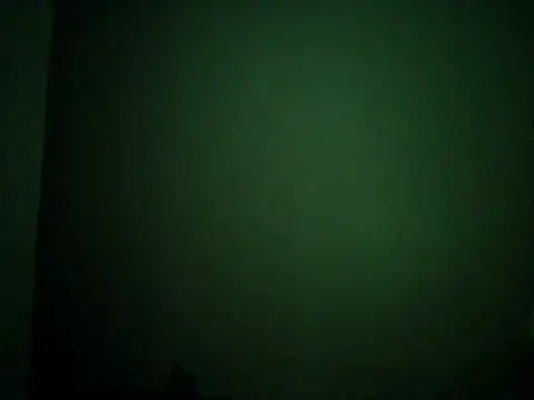 Snapshot of sashachin chatting on November 2025 03:54:01 AM sashachin online show from November 2025 03:54:01 AM