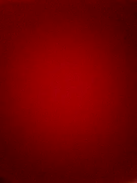 Adam 23c online show from December 2025 10:14:02 AM