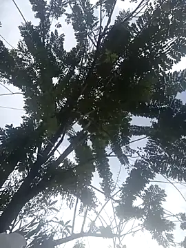 Camila-Valverde online show from January 2026 08:51:02 PM