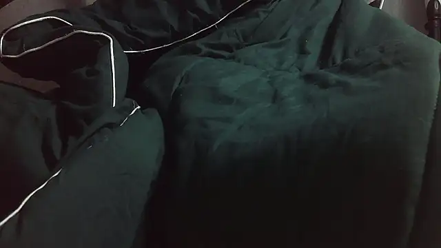 Stripholyday online show from November 2025 02:43:02 PM