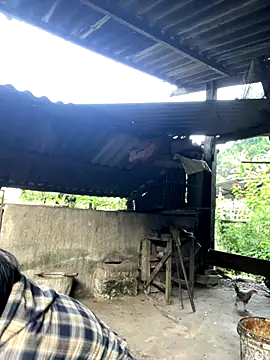 heodat-sexx online show from November 2025 12:33:02 AM