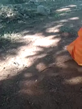 Anju setty online show from November 2025 07:12:01 AM