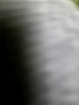 playboy210600 online show from February 2026 02:35:02 PM