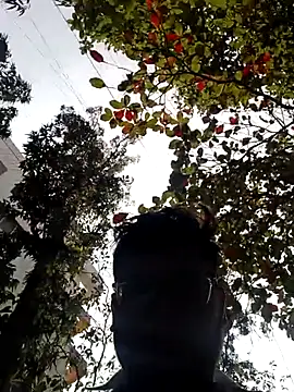 playboy210600 online show from February 2026 06:42:01 AM