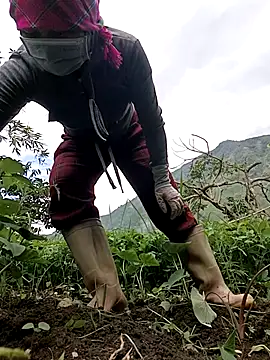 yoyo-mi online show from June 2026 08:52:02 AM