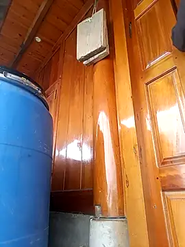 yoyo-mi online show from March 2026 02:30:01 AM