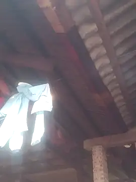 HGiasexy69 online show from March 2026 09:40:02 AM