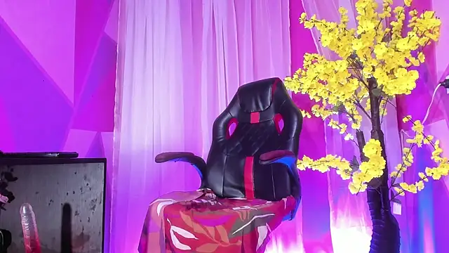 NovaNight  online show from January 2026 11:38:01 AM