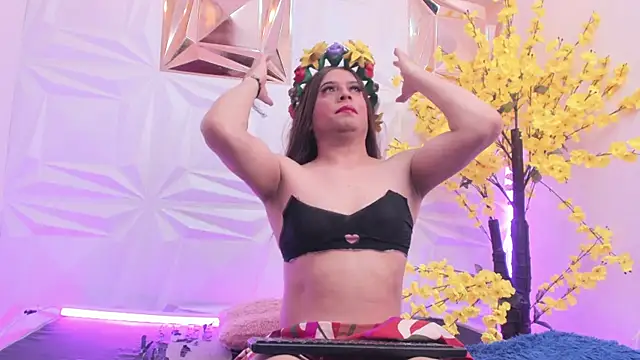 NovaNight  online show from November 2025 11:47:01 AM