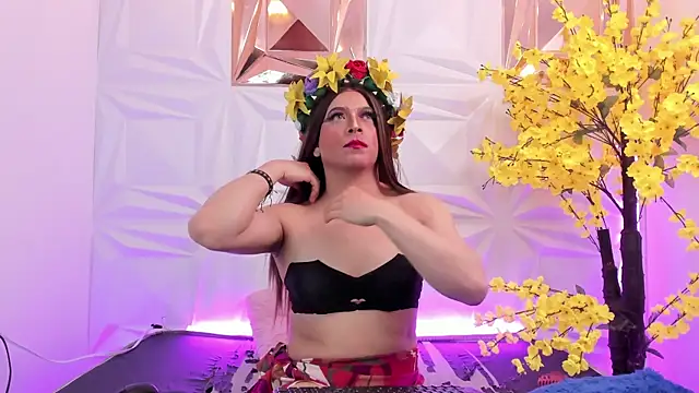 NovaNight  online show from November 2025 12:31:01 PM