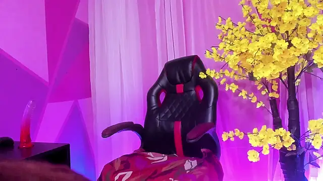 NovaNight  online show from January 2026 11:38:01 AM