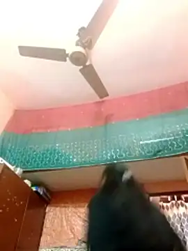 -Rani   online show from December 2025 12:31:02 PM